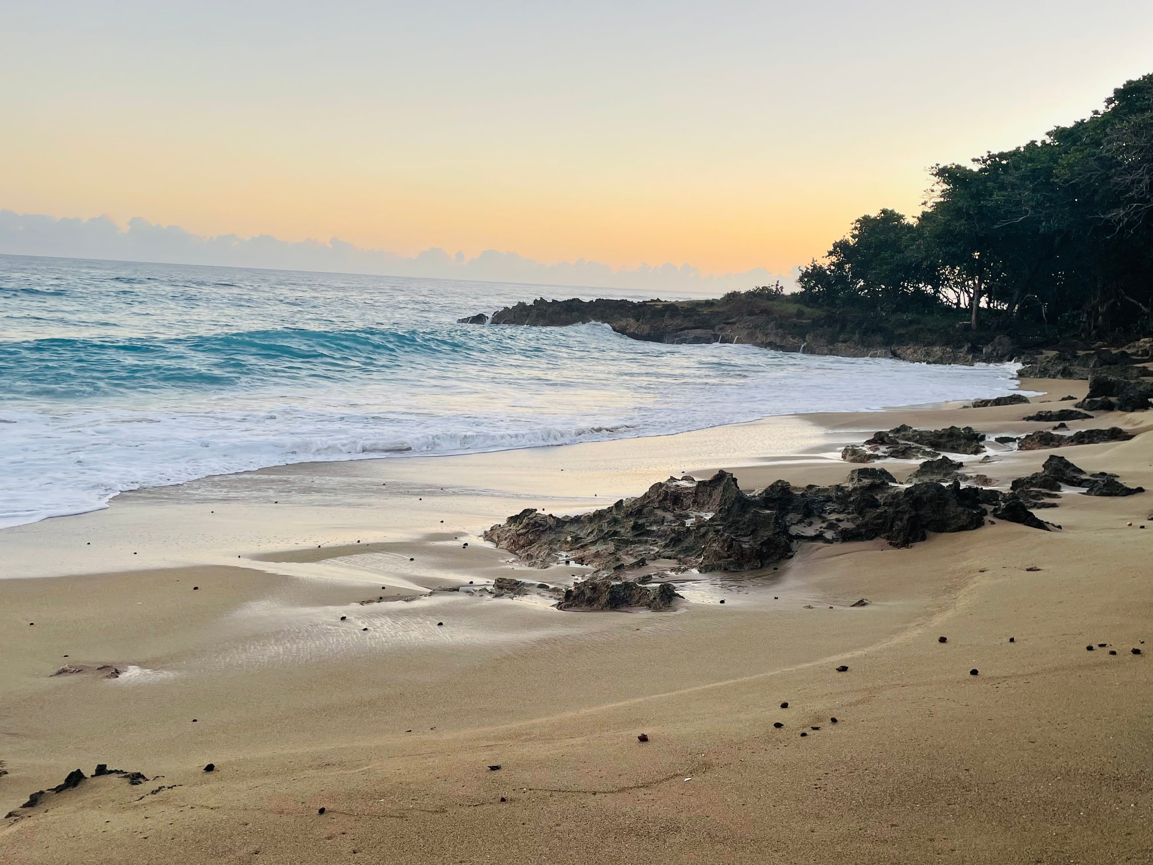 Wild beach